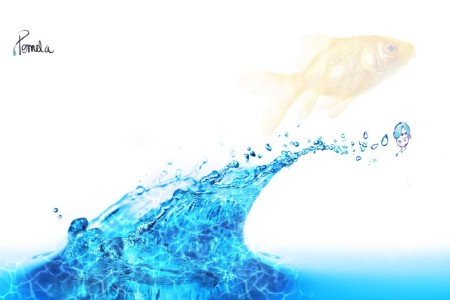 Pomeladrop: Chimpo na auga