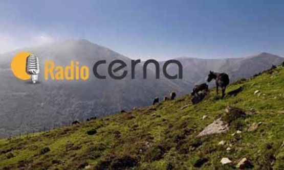 Radio Cerna 15nov2017