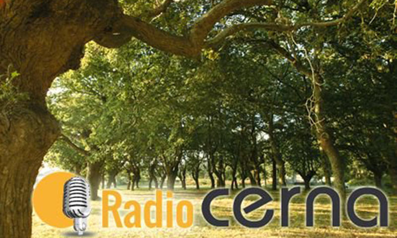 Radio Cerna 26dic2018