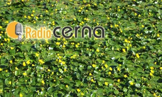 Radio CERNA #19xun2017