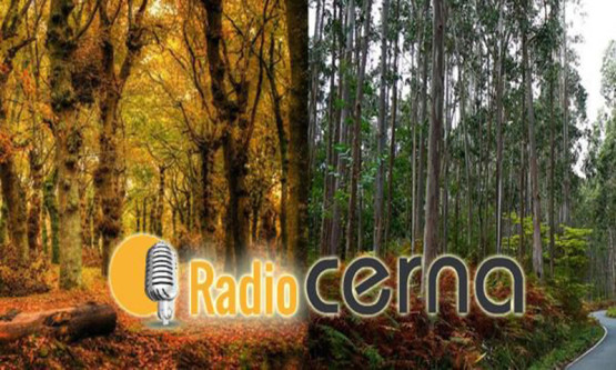 Radio Cerna 10dic2010
