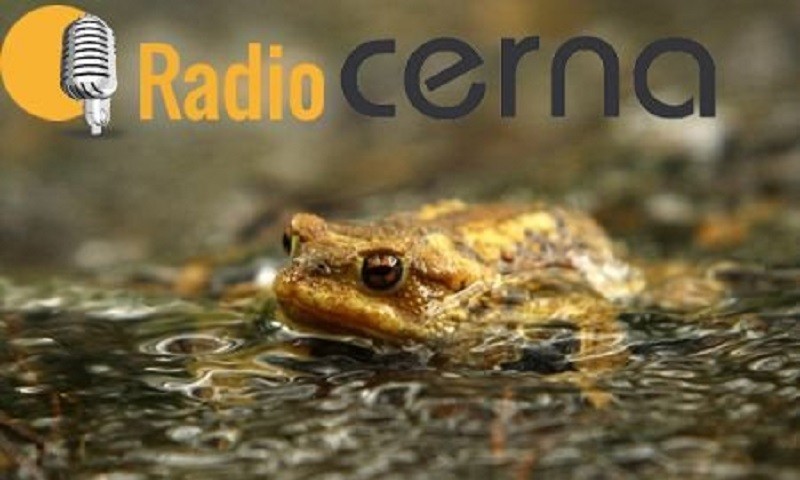 Radio Cerna 03oct2018
