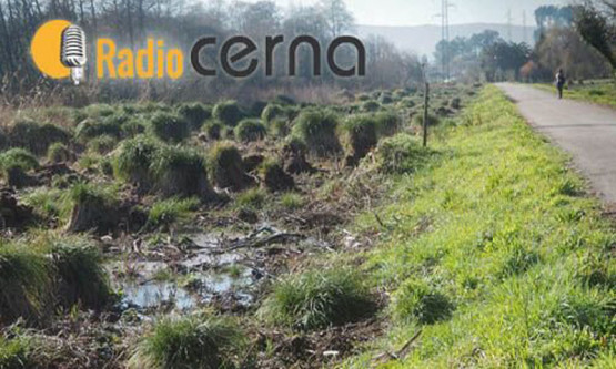 Radio Cerna 31ene2018