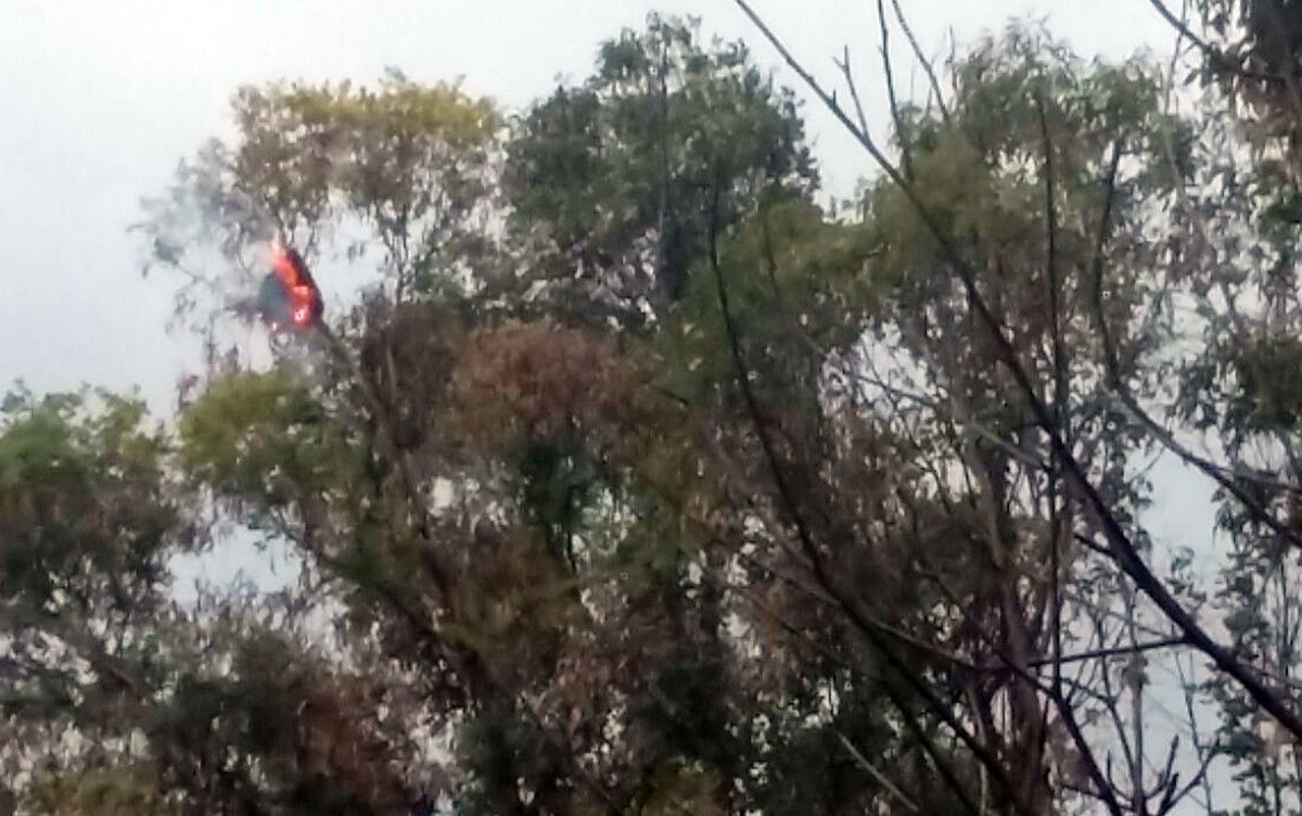 Quema del nido de avispa asiática en O Rañadoiro, en Ponte Sampaio