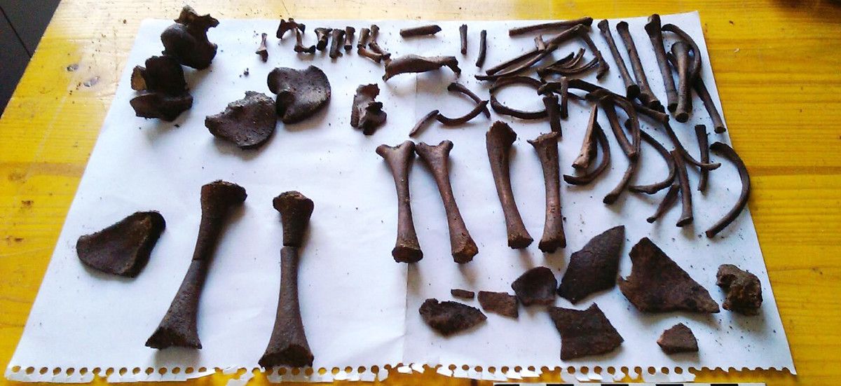 Restos del cuerpo de un menor encontrados en el yacimiento de A Lanzada