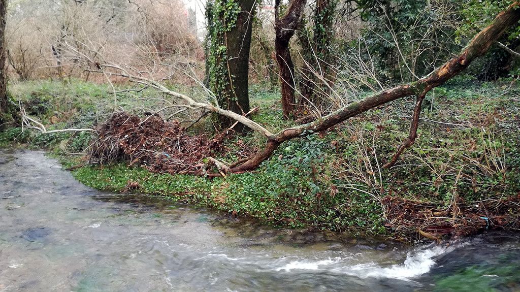 Río Gallo