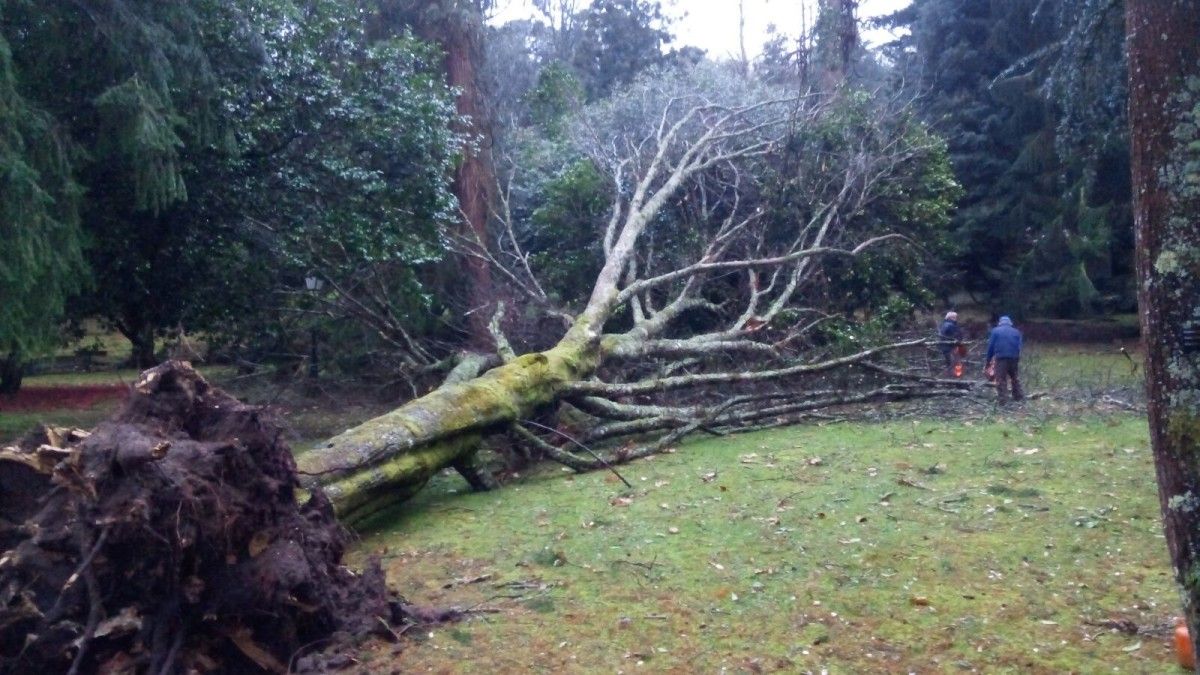 Daños en el Castelo de Soutomaior causados por el temporal