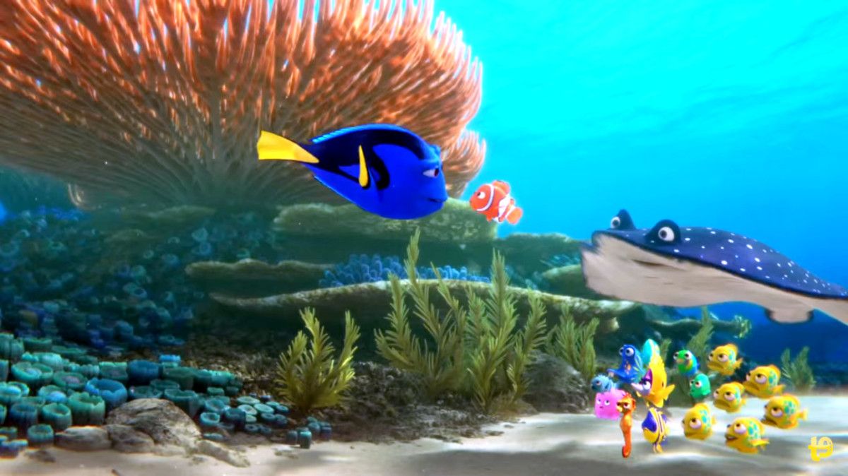 Buscando a Dory Buscando a Dory