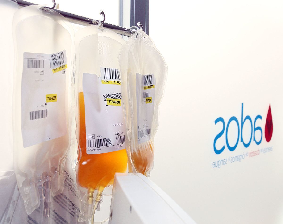 Bolsas de plasma extraídas mediante aféreses