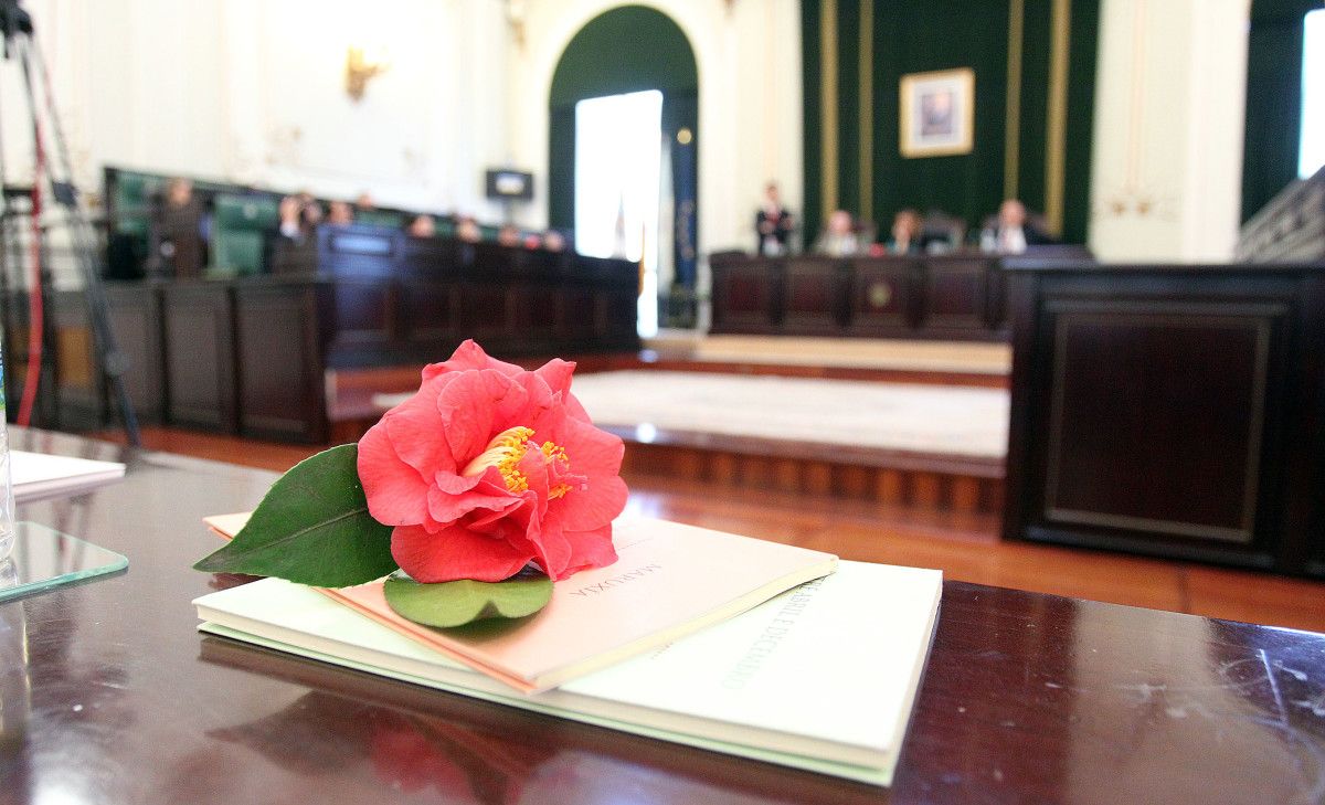 Pleno da Deputación en el Pazo Provincial