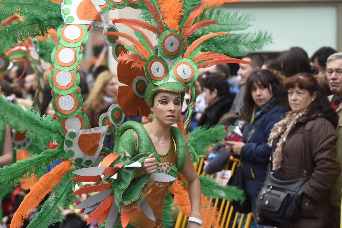 Desfile do Entroido en Pontevedra 2017 (I) Desfile do Entroido en Pontevedra 2017 (I)