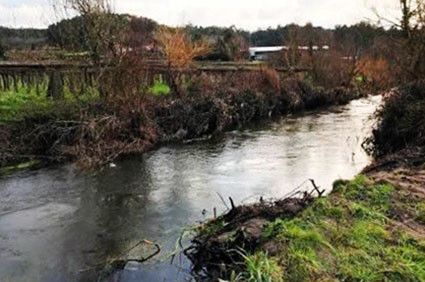 Río Agra a su paso por el concello de Portas