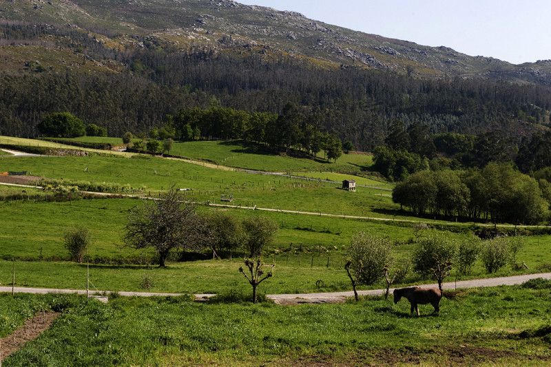 Cotobade