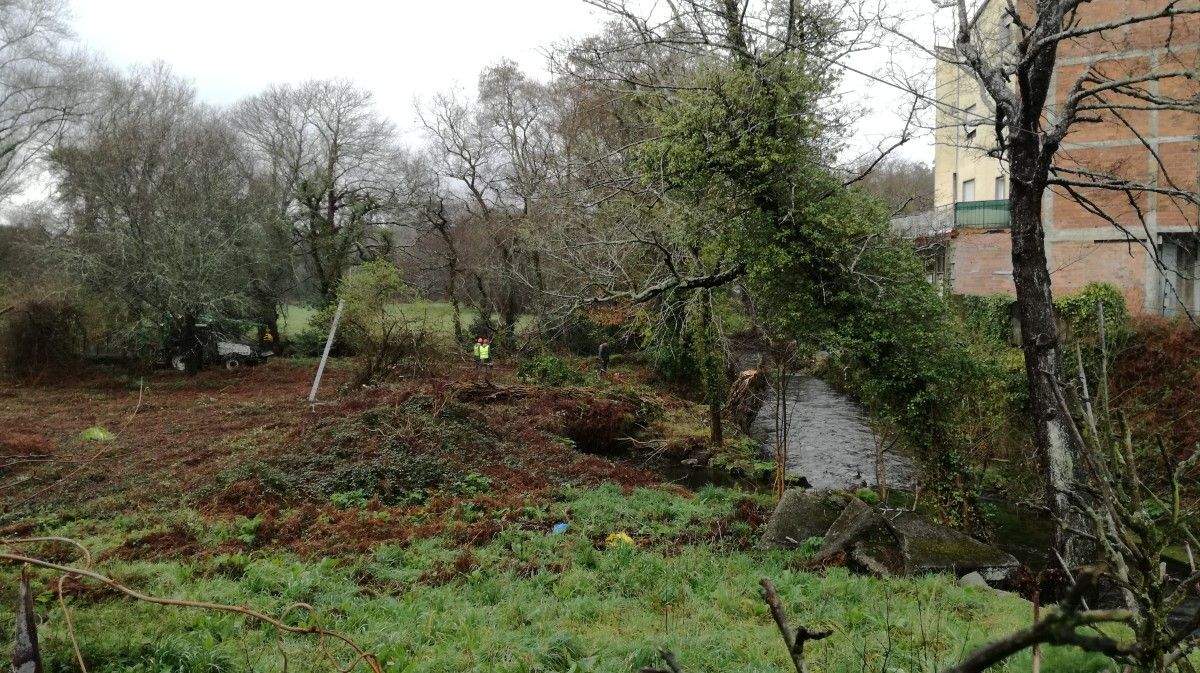 Limpieza del río Gallo en Cuntis