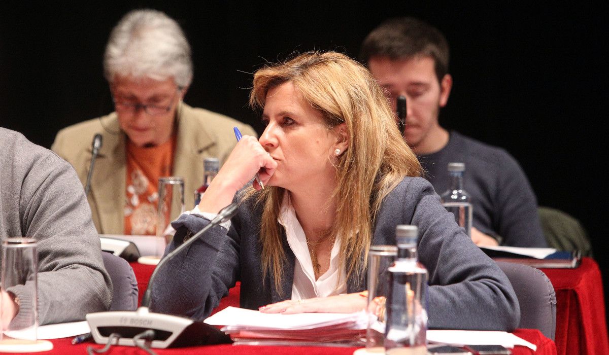 María Rey, en el pleno municipal