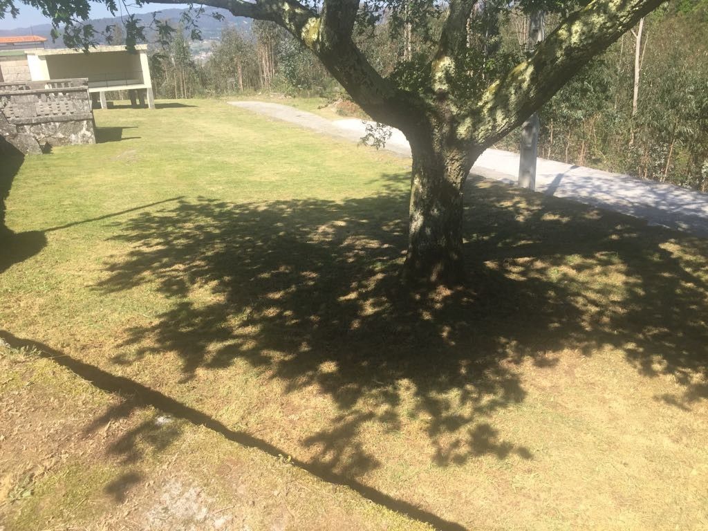 Limpeza nos núcleos do rural de Ponte Caldelas