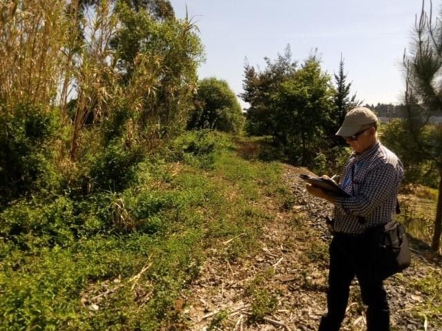 Un técnico trabaja sobre el terreno para redactar el proyecto constructivo de la Vía Verde Vilagarcía-Caldas-Portas