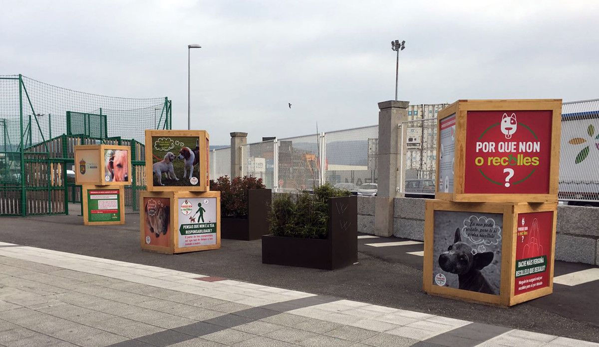 Campaña de responsabilidad en la tenencia de animales