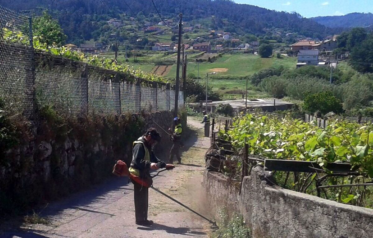 Roza nun camiño rural
