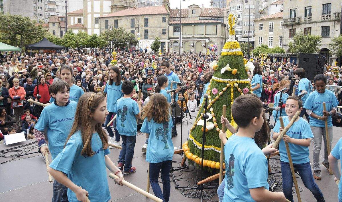 Concurso dos Maios 2017