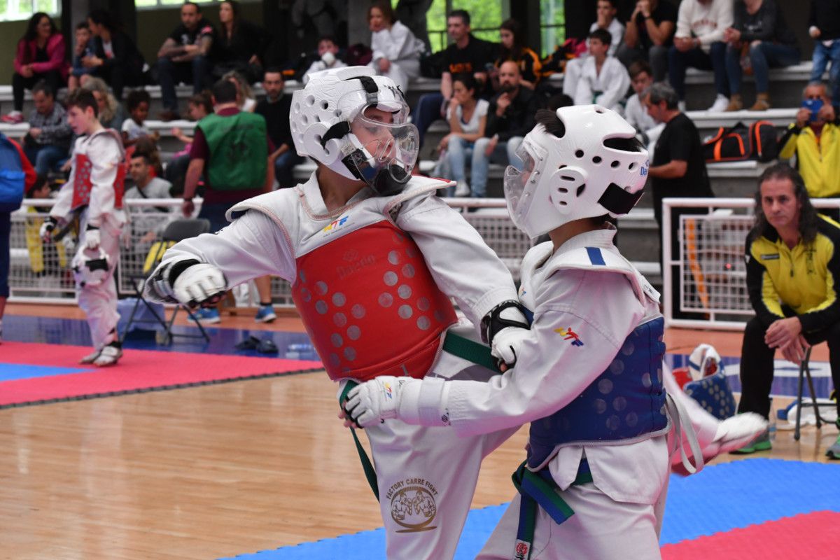 Campionato Provincial Escolar de Taekwondo 2017
