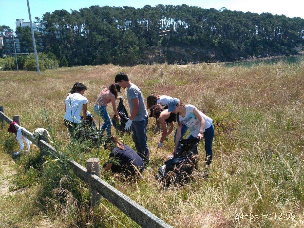 Un grupo de mozos eliminou plantas invasoras da dunar de Baltar