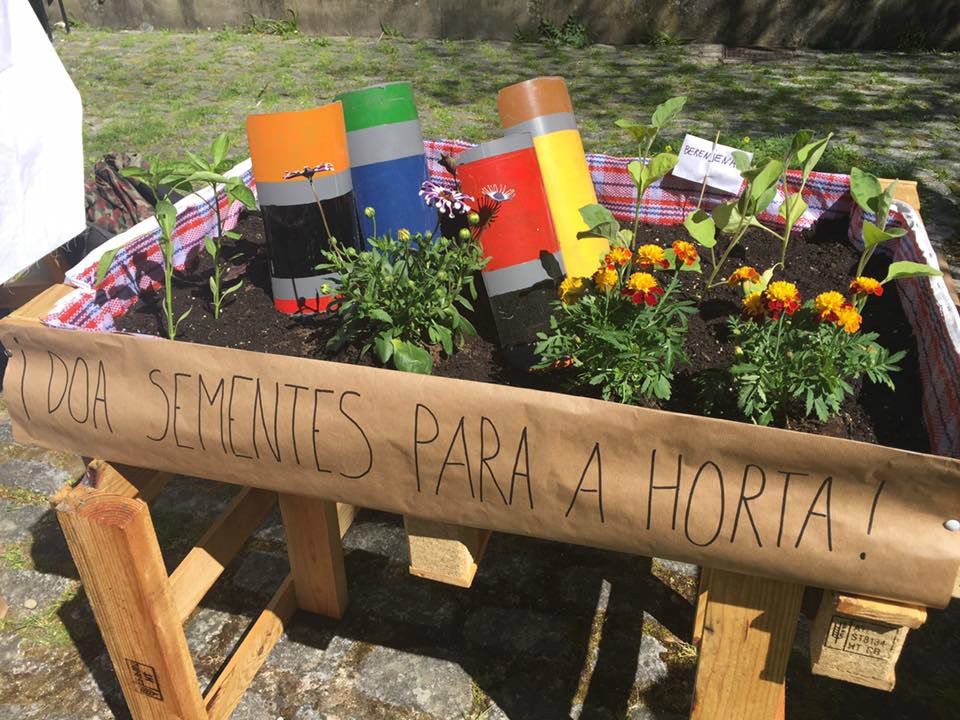 Huerta del patio central de la Faculta de Bellas Artes