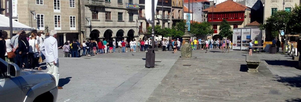 Repartición de plantas e compost na Ferrería