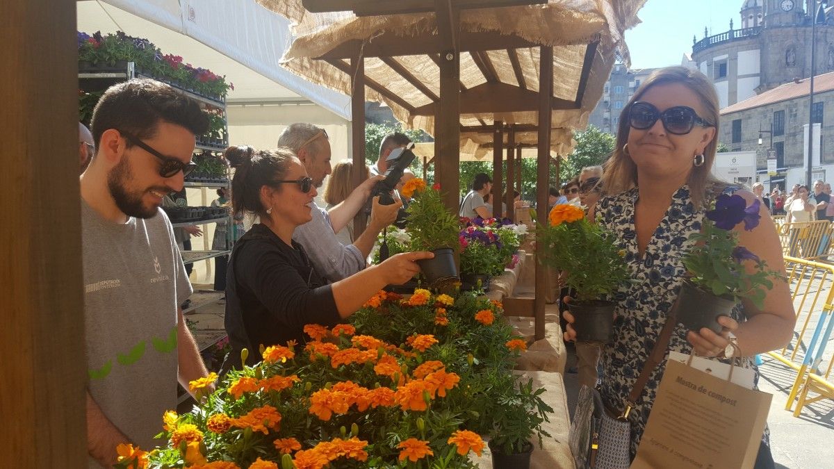 Repartición de plantas e compost na Ferrería