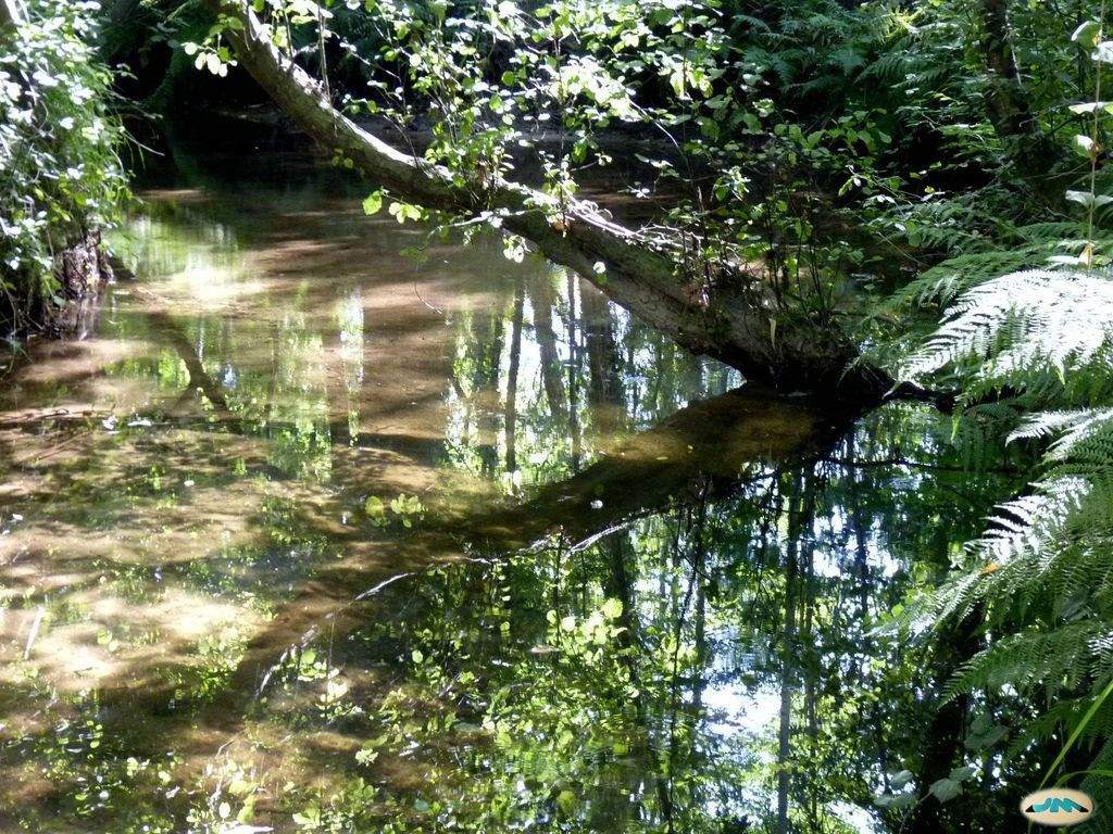 Río dos Gafos