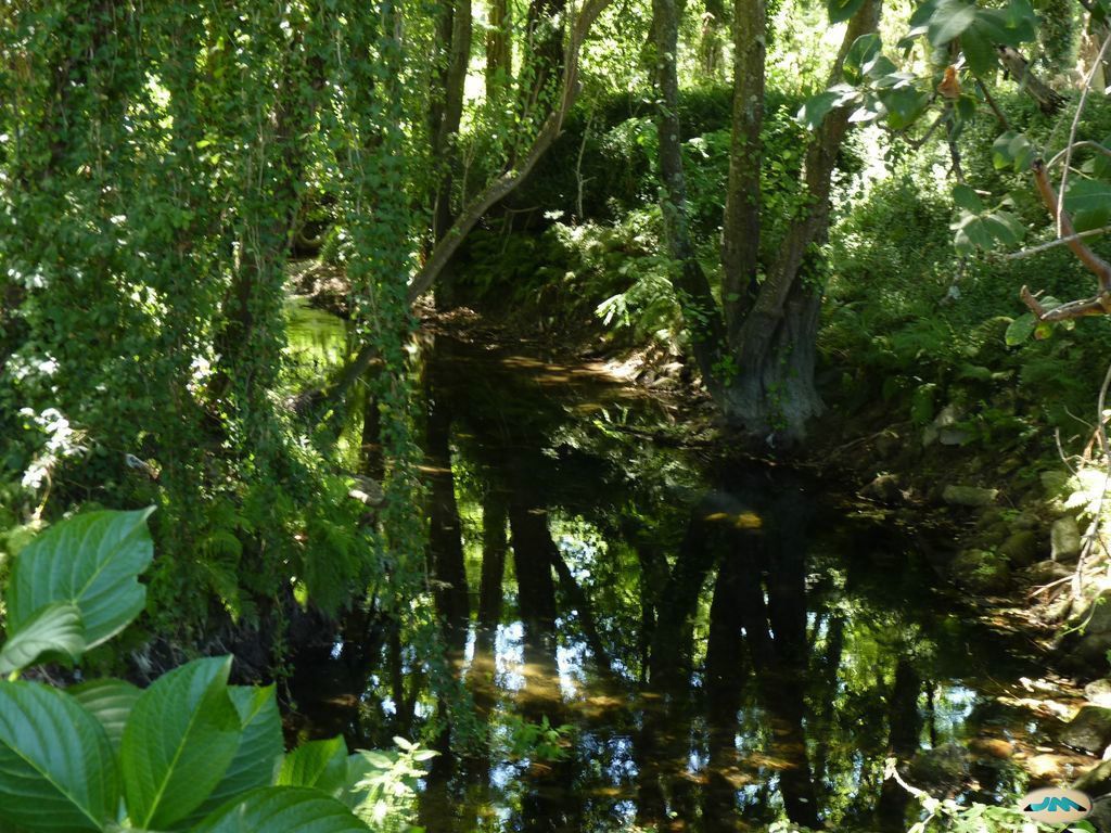 Río de Os Gafos