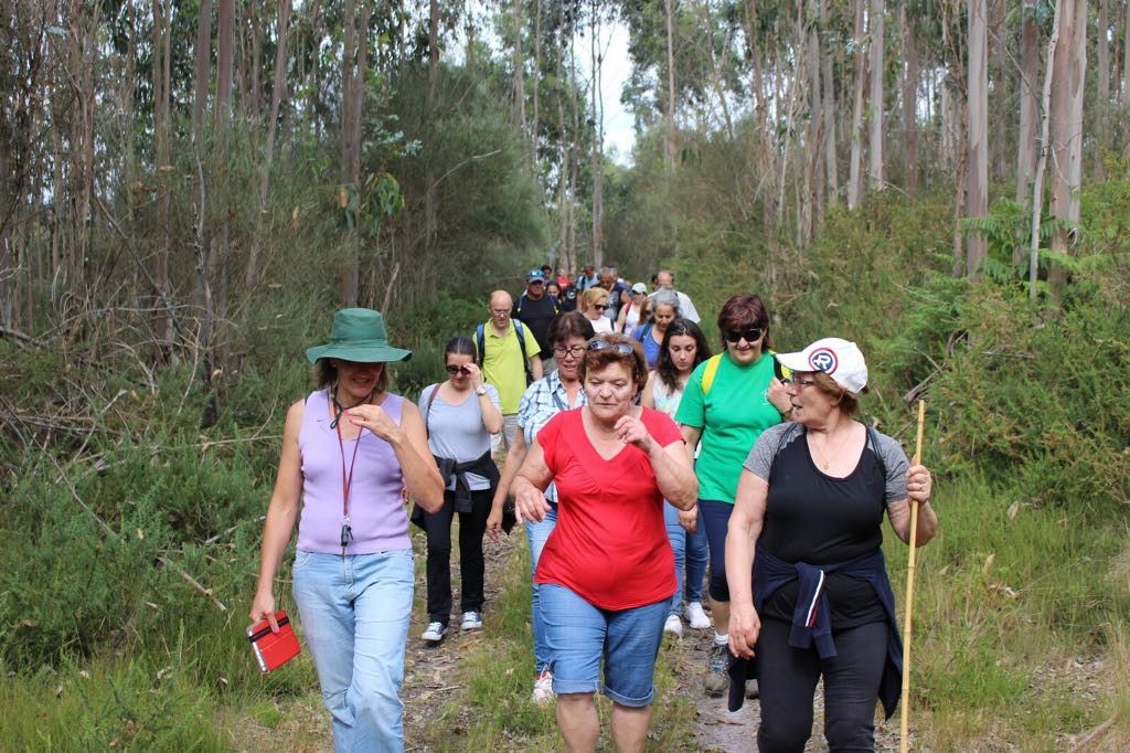 Andaina do programa Patea Tapea