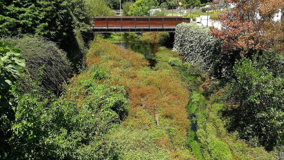 Río Gallo ao seu paso por Cuntis