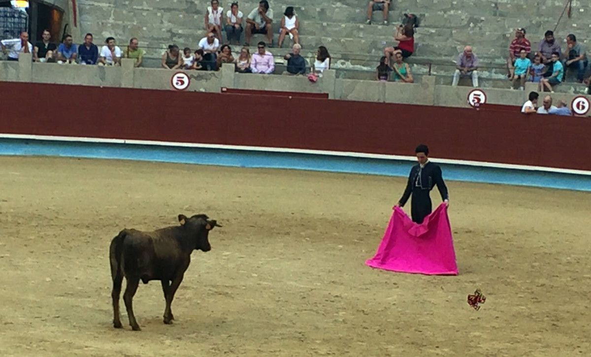 Juan del Álamo durante o tentadero