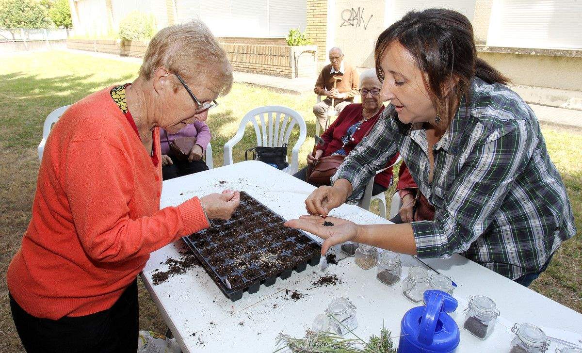 Taller de "huerto terapéutico" en la Residencia de Mayores de Campolongo Taller de "huerto terapéutico" en la Residencia de Mayores de Campolongo