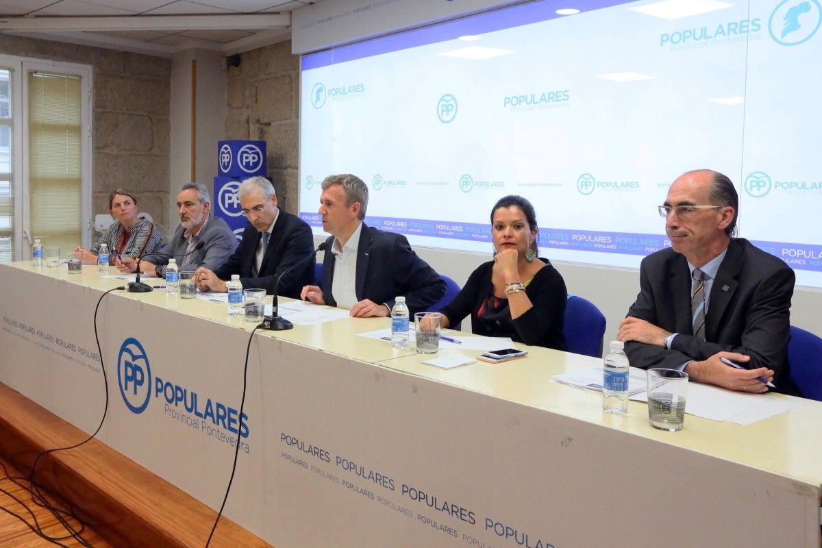 Comité Executivo provincial do PP de Pontevedra, presidido por Alfonso Rueda