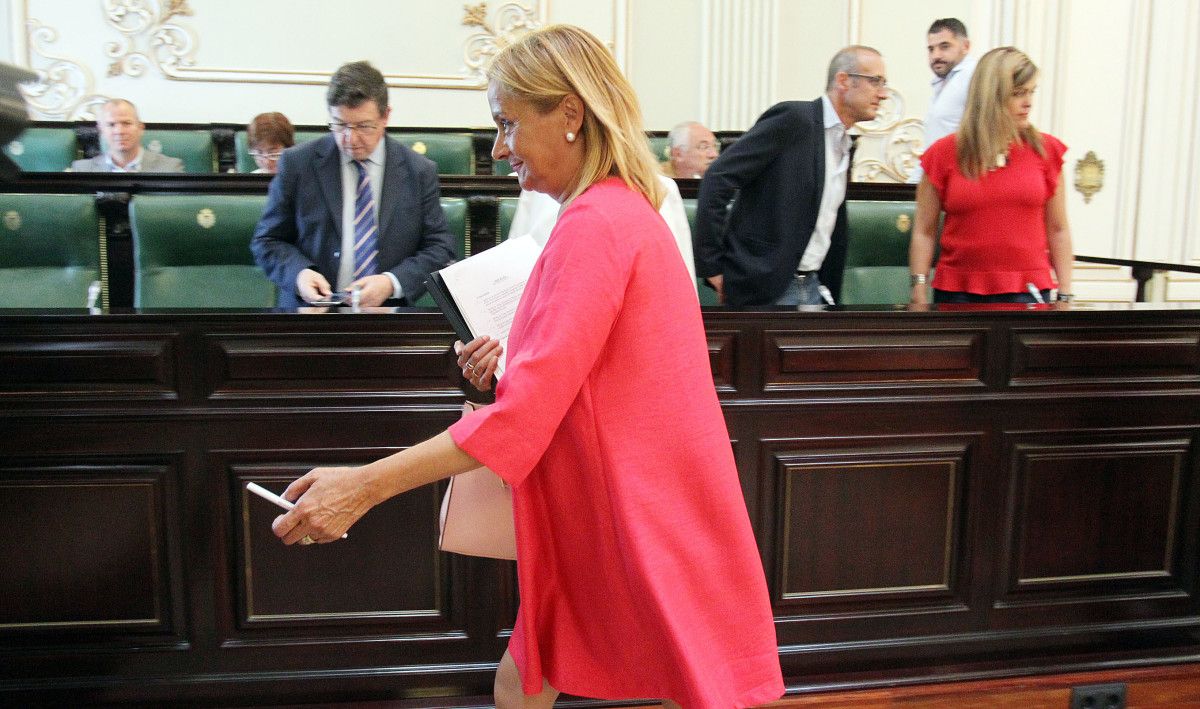 Carmela Silva en el Pleno de la Deputación