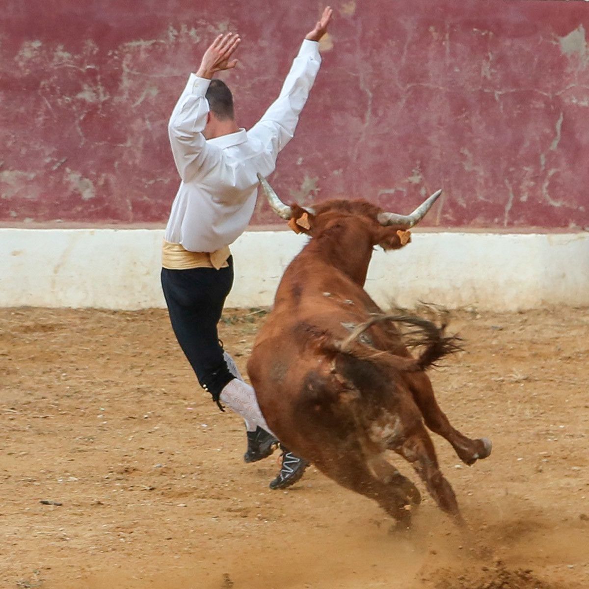 Los recortadores se convertirán en gladiadores