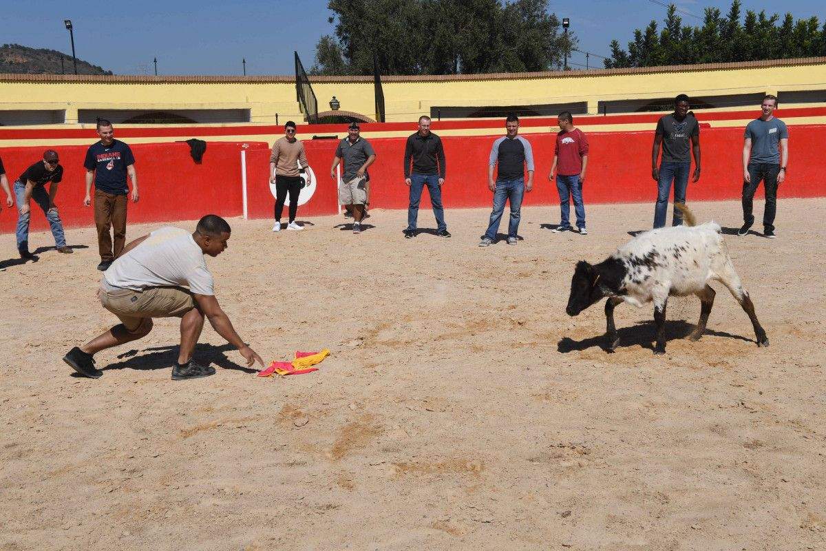 Tentadero taurino