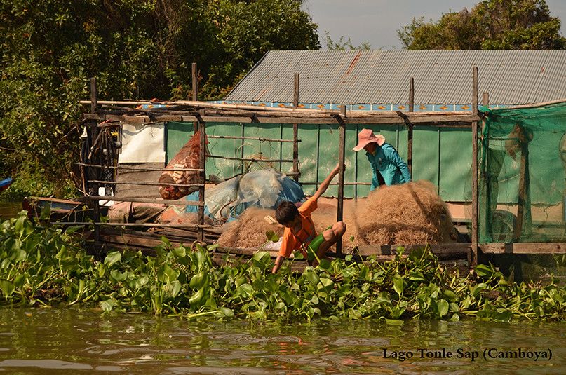 Lago Tonlé Sap, en Camboya