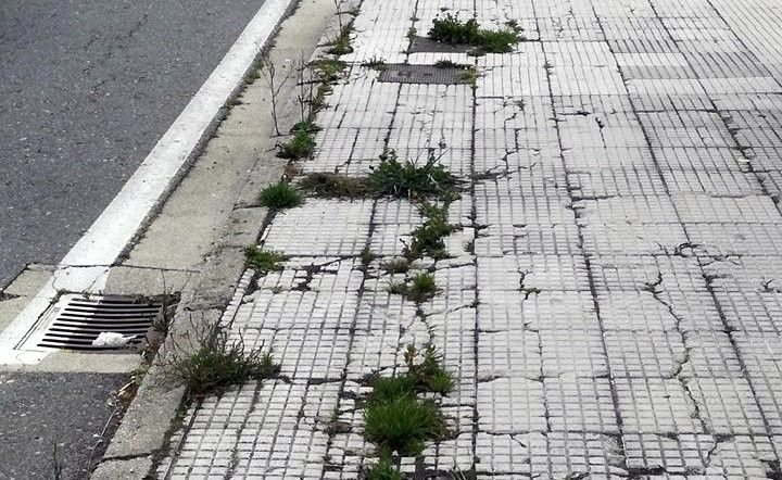 Calle Médico Ballina