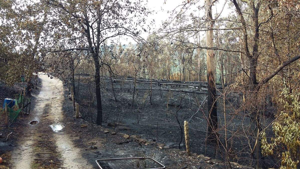 Monte arrasado por un incendio en Ponte Caldelas