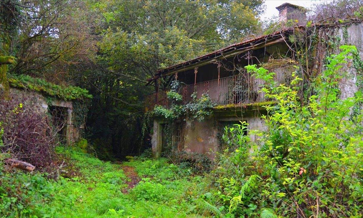 Paraxe natural en Tomonde (Cerdedo)