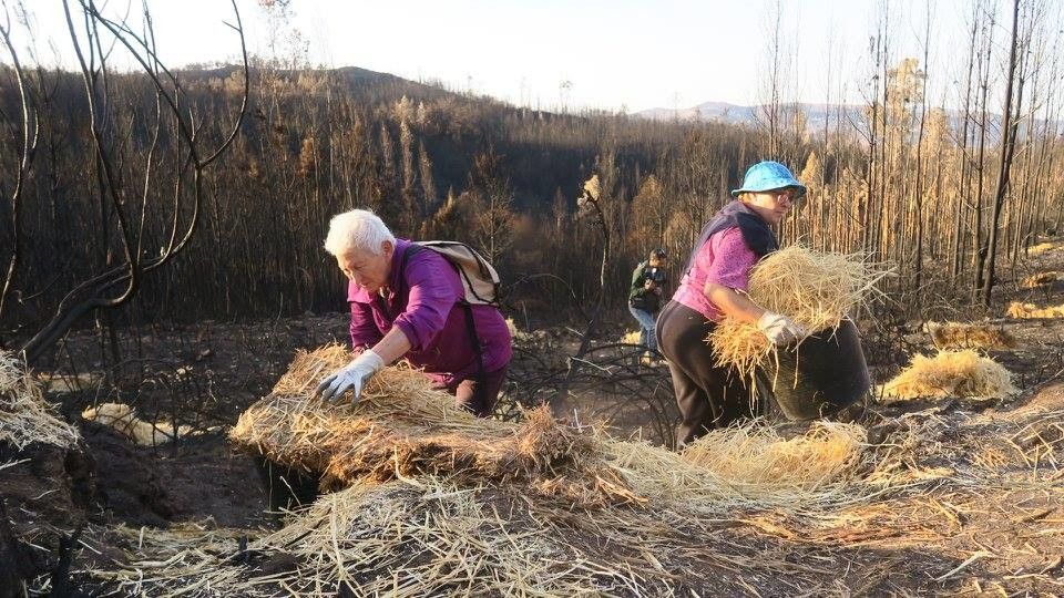 Xornada do sábado na operación 'mulching' tras os incendios de Ponte Caldelas