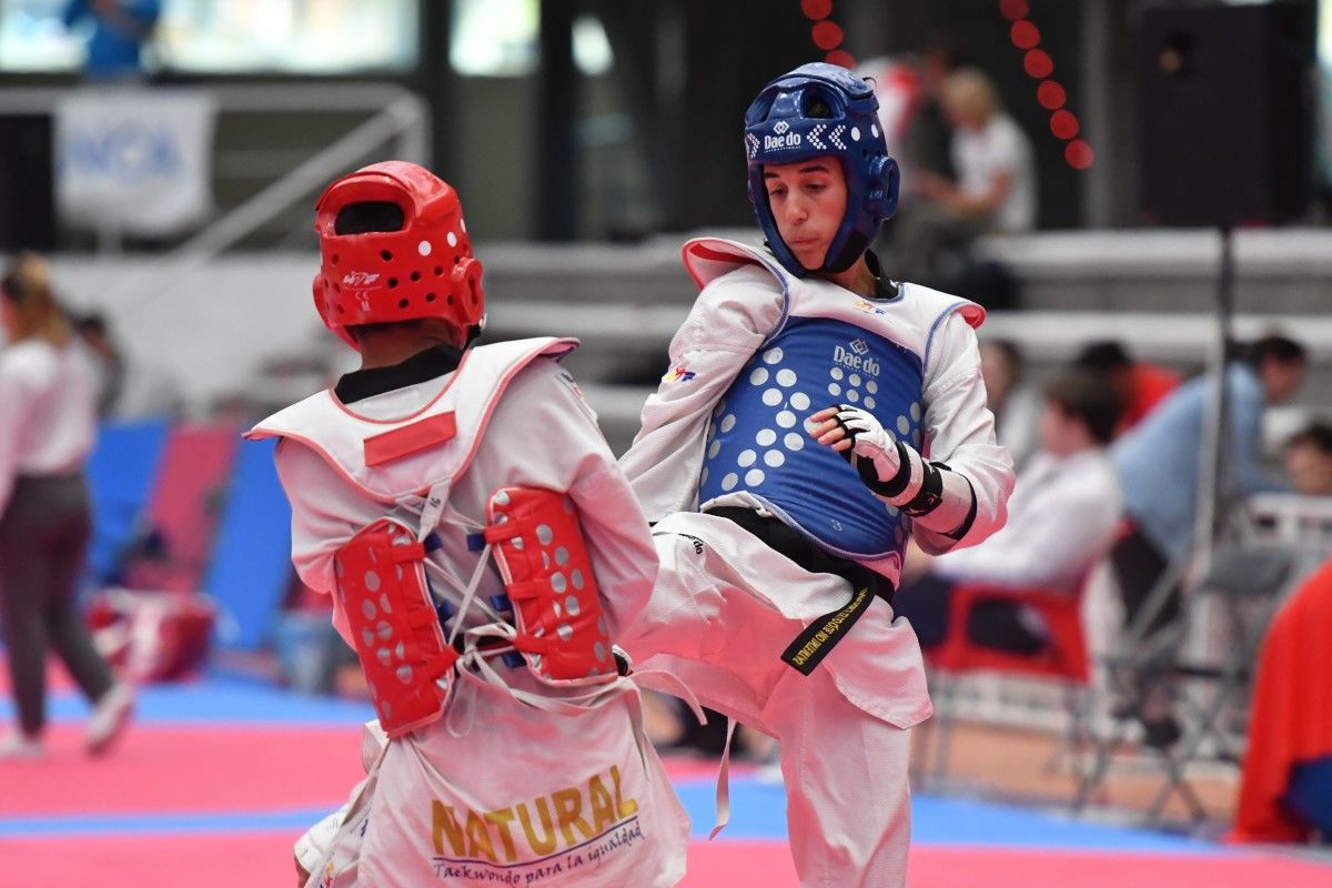 XX Torneo Cidade de Pontevedra de Taekwondo