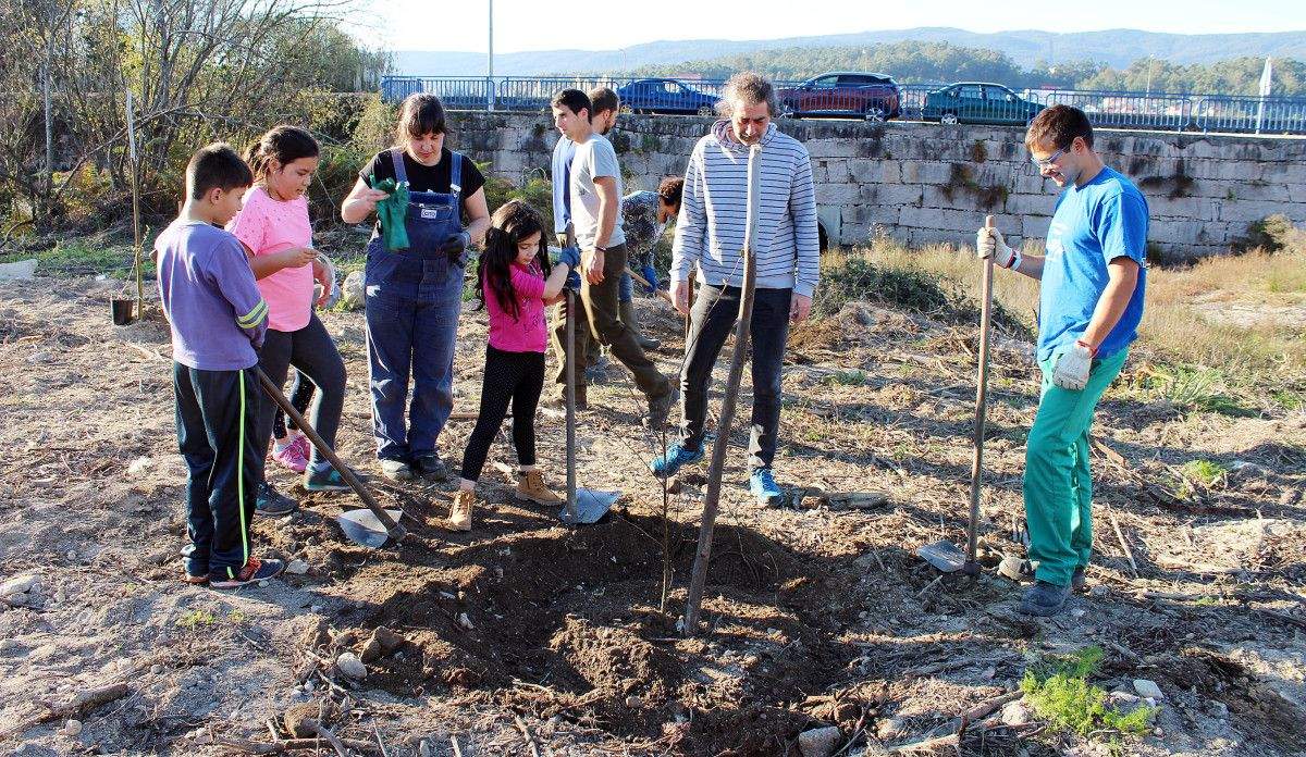 Plantan especies de ribeira en la Xunqueira da Gandarela