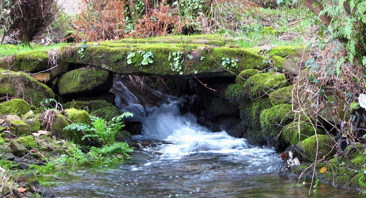 Río Gafos