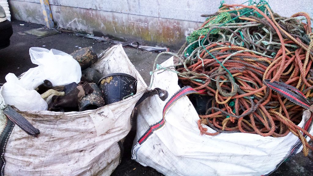 Basura marina retirada de la Ría de Pontevedra
