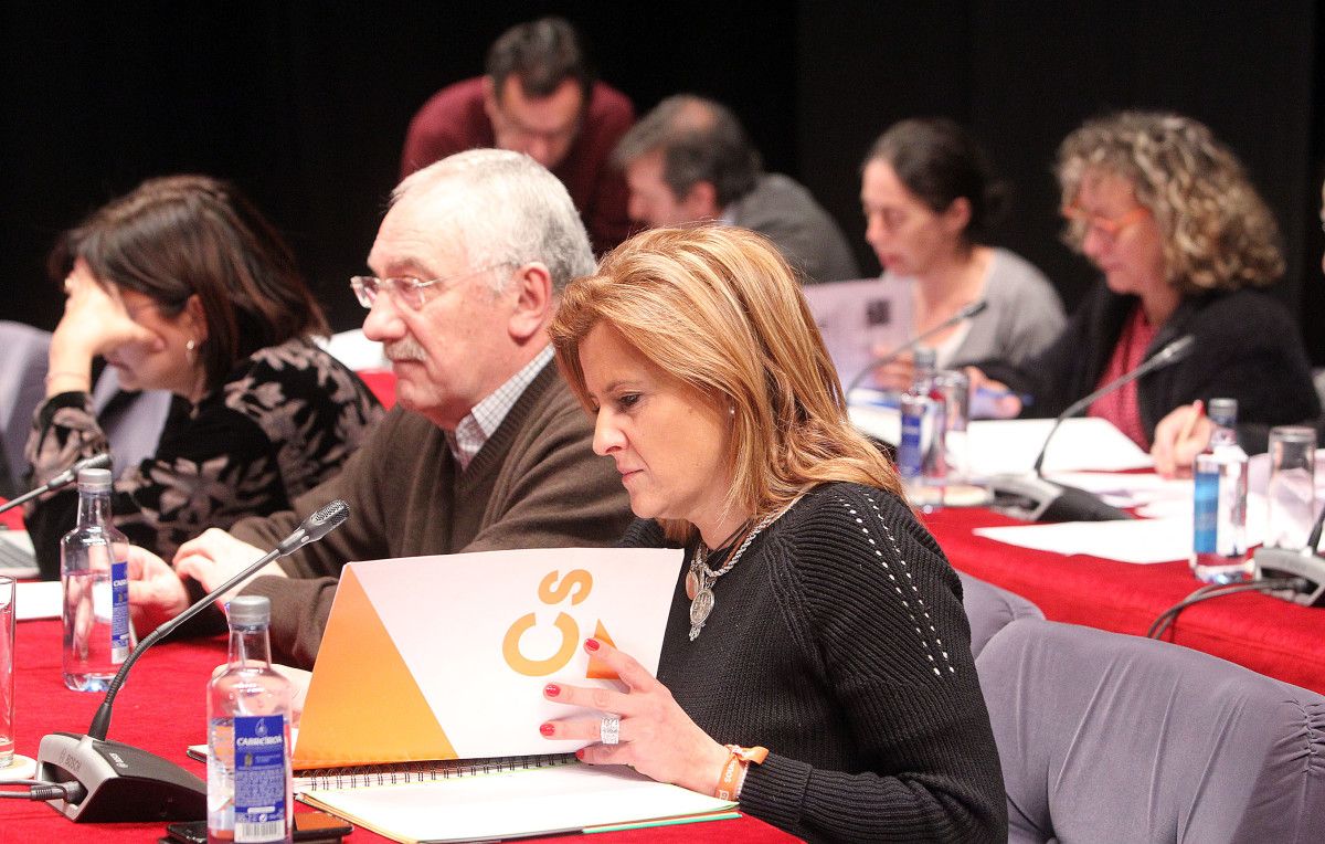 María Rey y César Mosquera en el pleno municipal