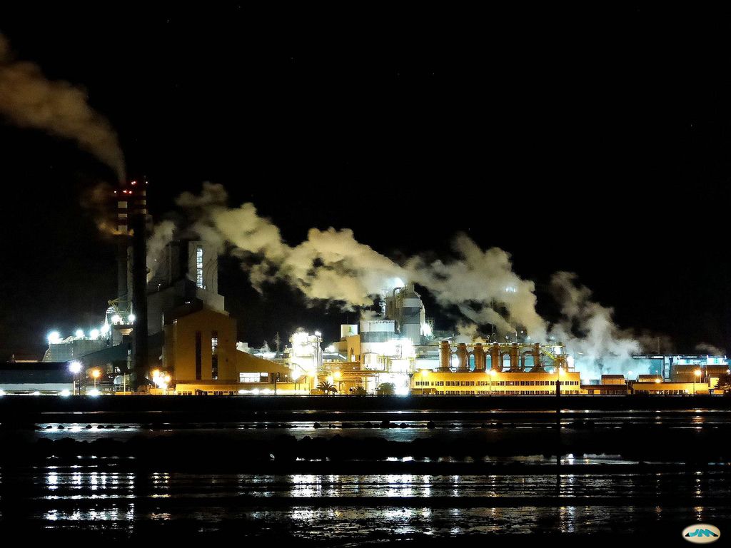 Imagen nocturna de la fábrica de Ence